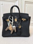 Birkin 25 Togo Black GHW