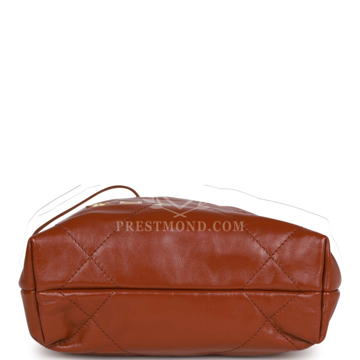 Chanel Mini 22 Bag Brown Calfskin Gold Hardware — изображение 6