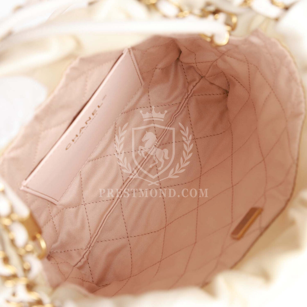Chanel Mini 22 Bag Champagne Iridescent Calfskin Gold Hardware — изображение 9
