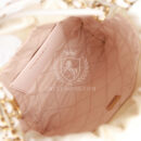 Chanel Mini 22 Bag Champagne Iridescent Calfskin Gold Hardware