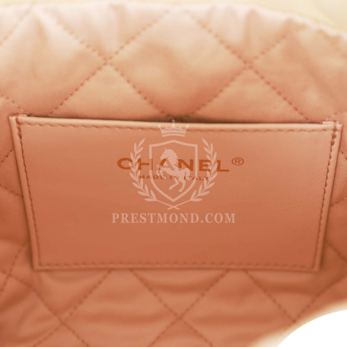 Chanel Mini 22 Bag Champagne Iridescent Calfskin Gold Hardware — изображение 10