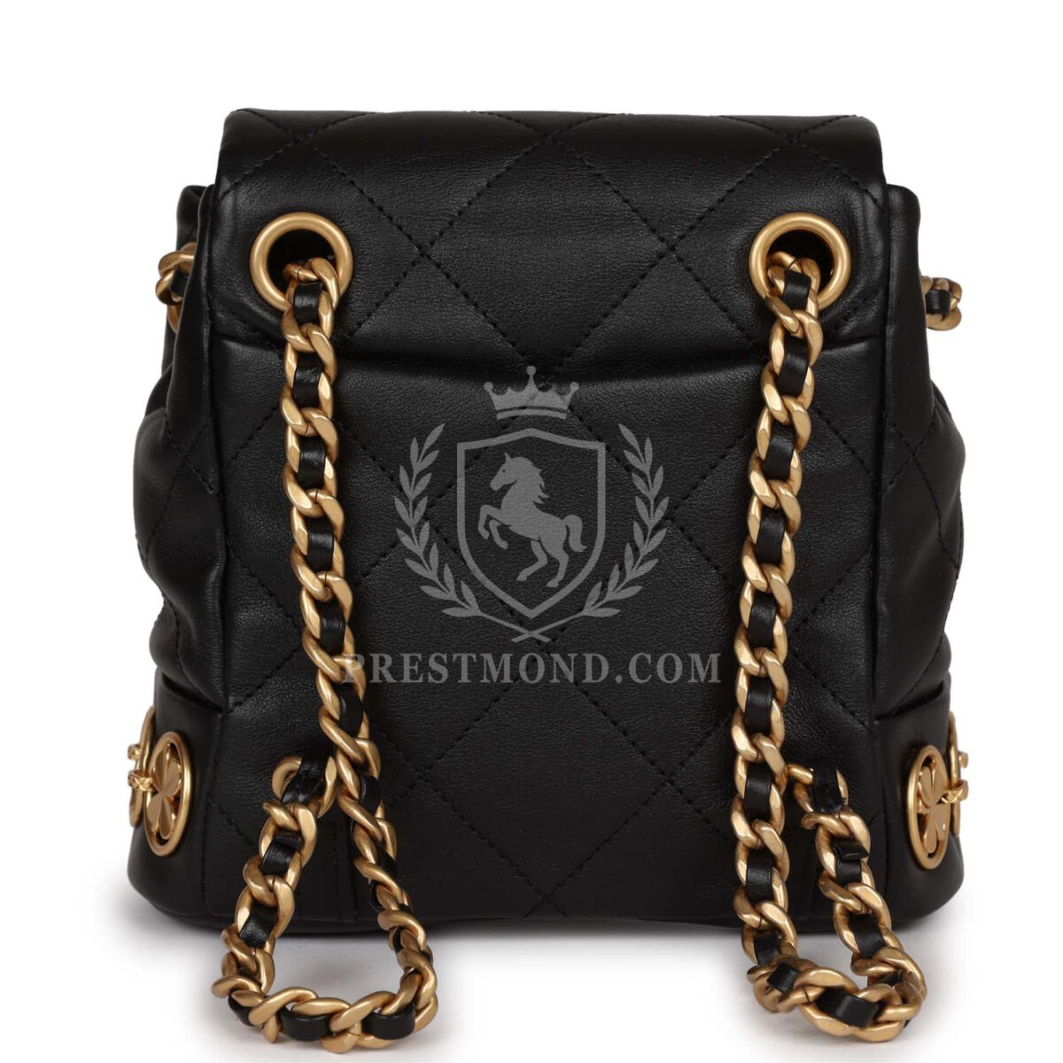 Chanel Small Charm Backpack Black Calfskin Aged Gold Hardware — изображение 4
