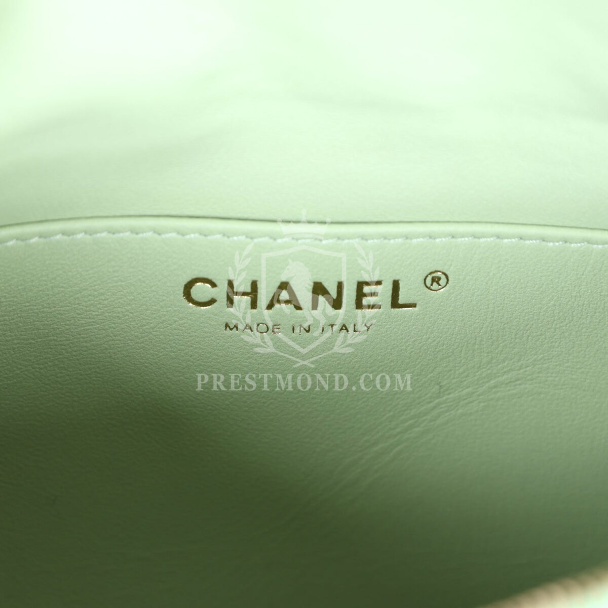 Chanel Belt Bag Rainbow Metallic Lambskin Light Gold Hardware — изображение 9