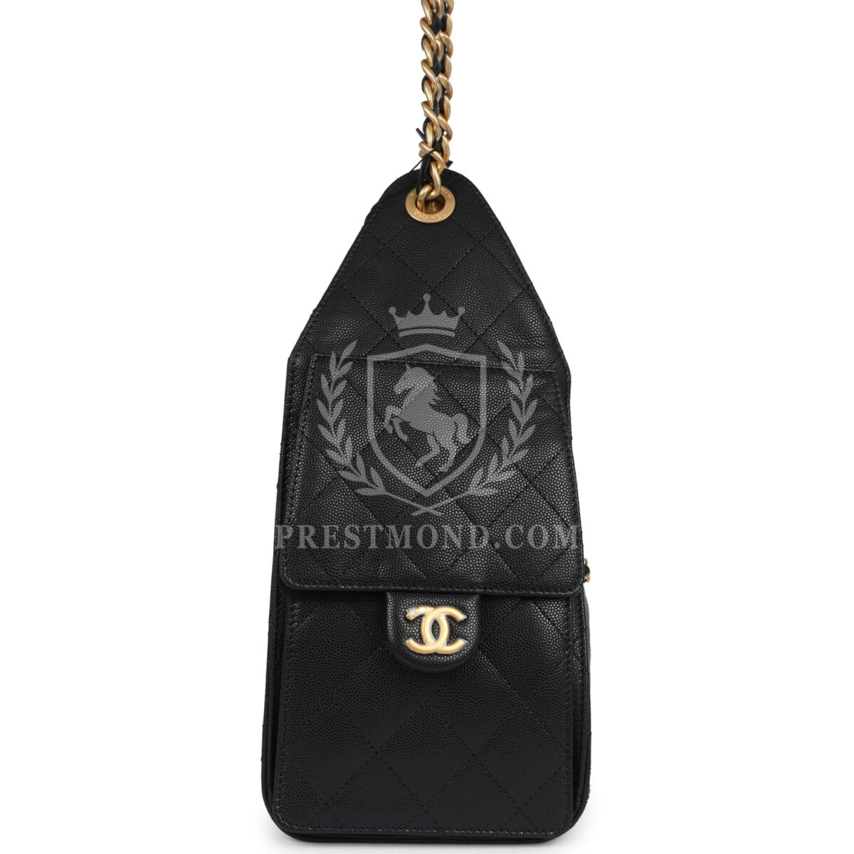 Chanel Small 25 Hobo Bag Black Caviar Antique Gold Hardware — изображение 3