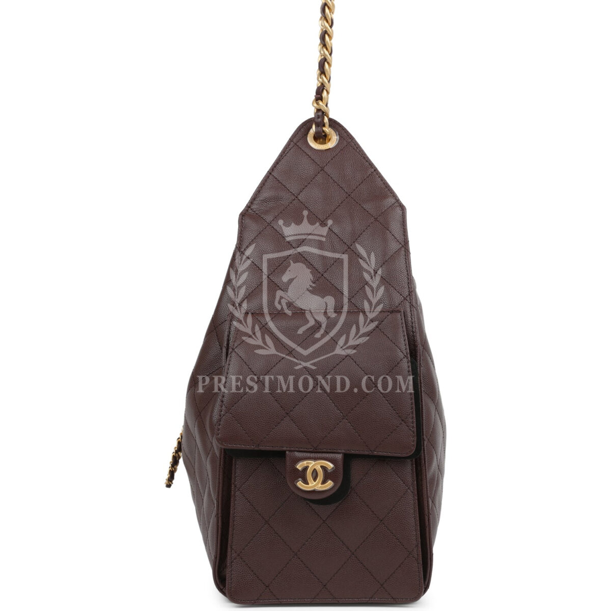Chanel Medium 25 Hobo Bag Dark Brown Caviar Antique Gold Hardware — изображение 3