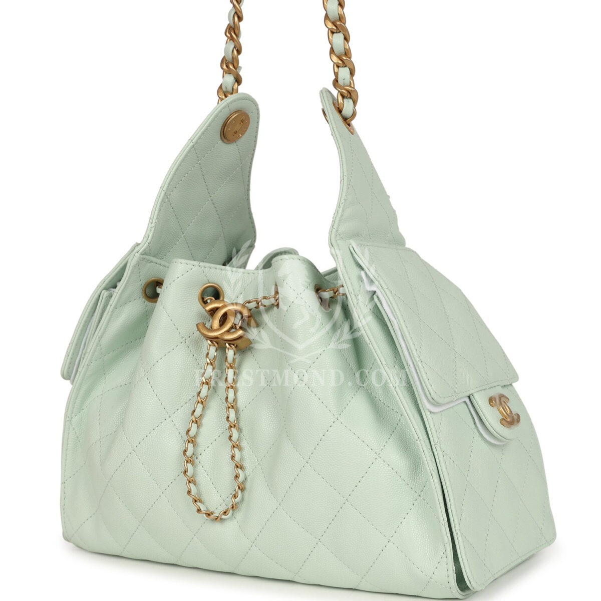 Chanel Small 25 Hobo Bag Light Green Caviar Antique Gold Hardware — изображение 5