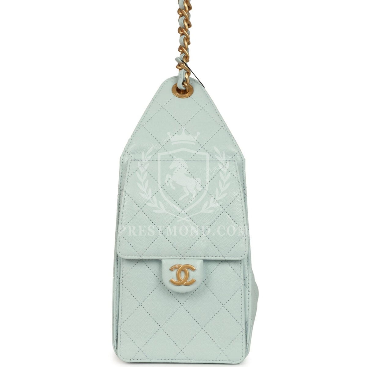 Chanel Small 25 Hobo Bag Light Blue Caviar Antique Gold Hardware — изображение 4