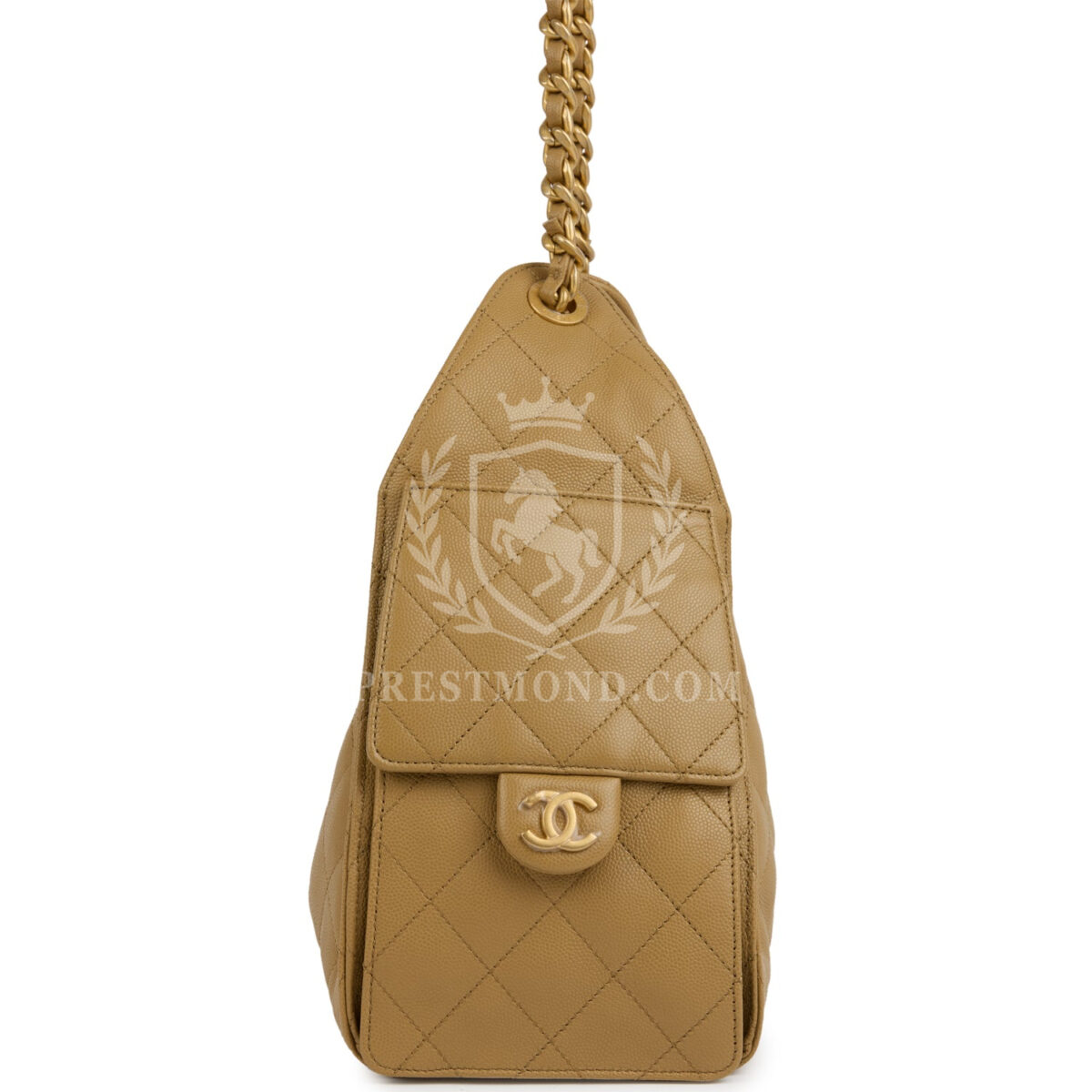 Chanel Small 25 Hobo Bag Dark Beige Caviar Antique Gold Hardware — изображение 3