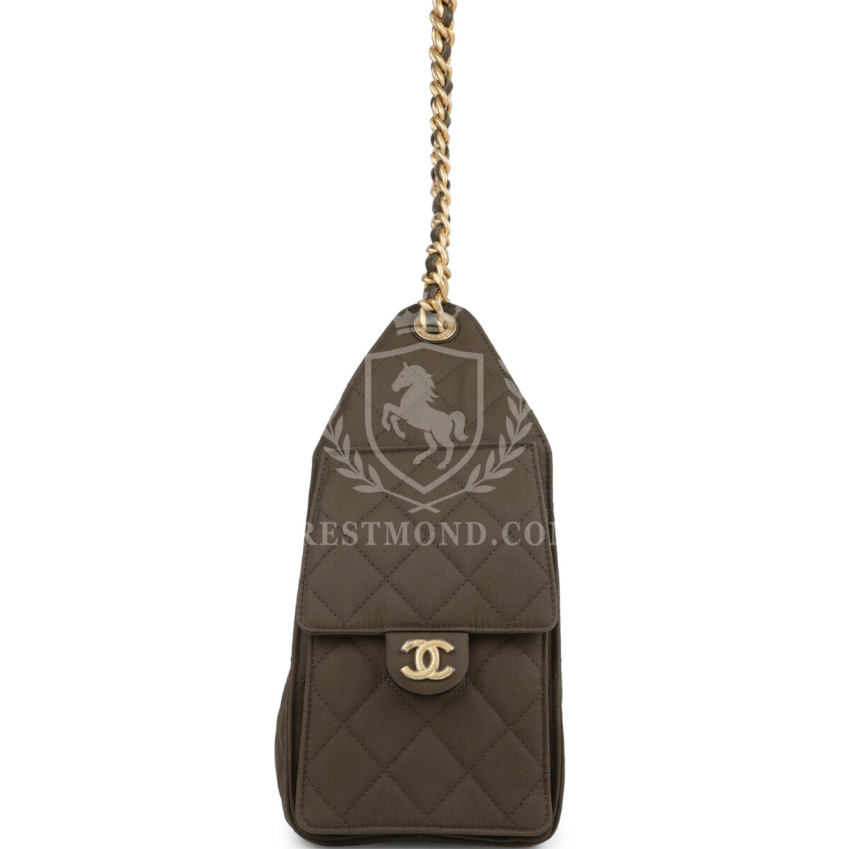 Chanel Small 25 Hobo Bag Khaki Toile Canvas Antique Gold Hardware — изображение 3