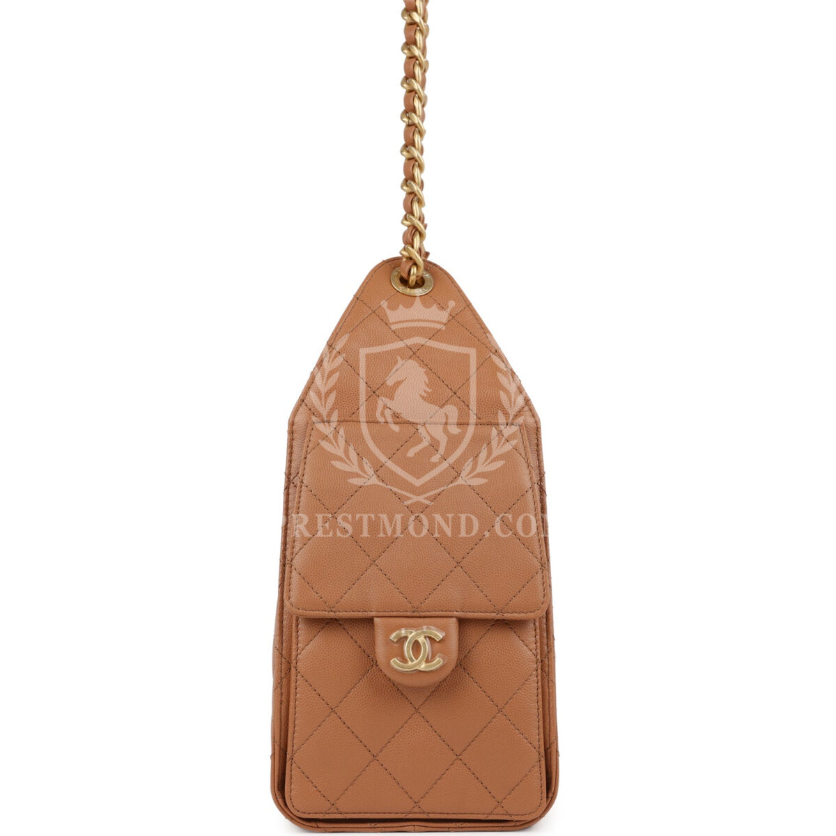 Chanel Small 25 Hobo Bag Caramel Caviar Antique Gold Hardware — изображение 3