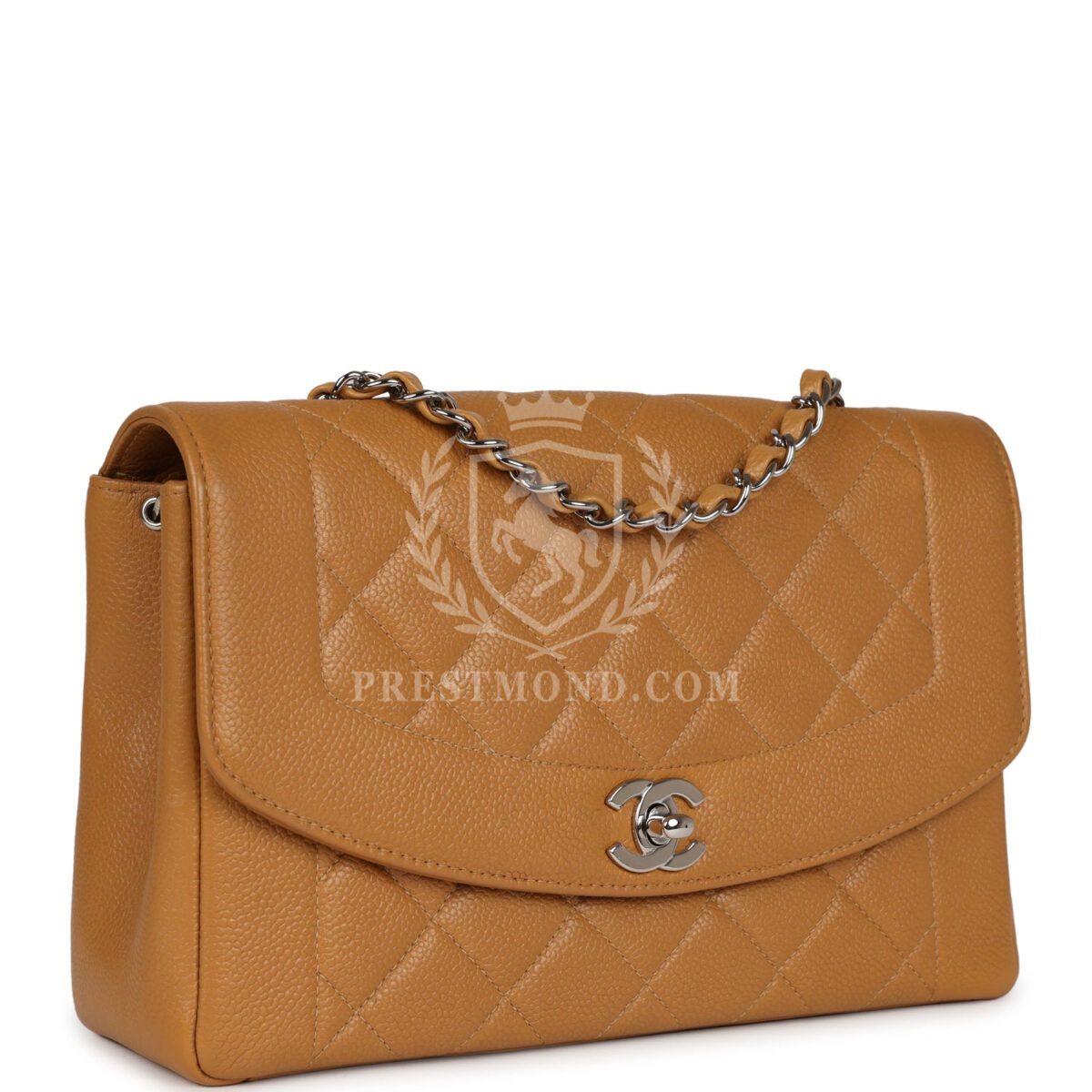 Vintage Chanel Medium Diana Flap Bag Dark Beige Caviar Silver Hardware — изображение 2