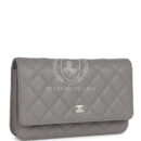 Chanel Wallet on Chain WOC Grey Caviar Light Gold Hardware