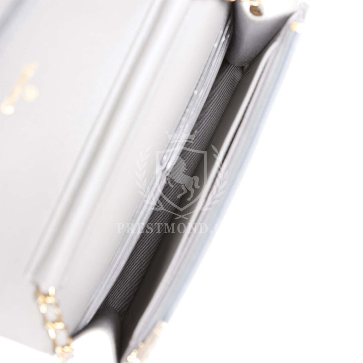 Chanel Wallet on Chain WOC Grey Caviar Light Gold Hardware — изображение 9