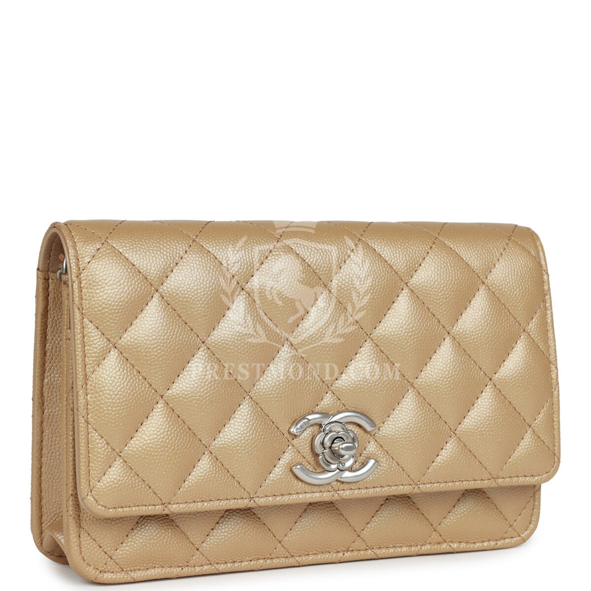 Chanel Wallet On Chain WOC Beige Iridescent Caviar Silver Hardware — изображение 2