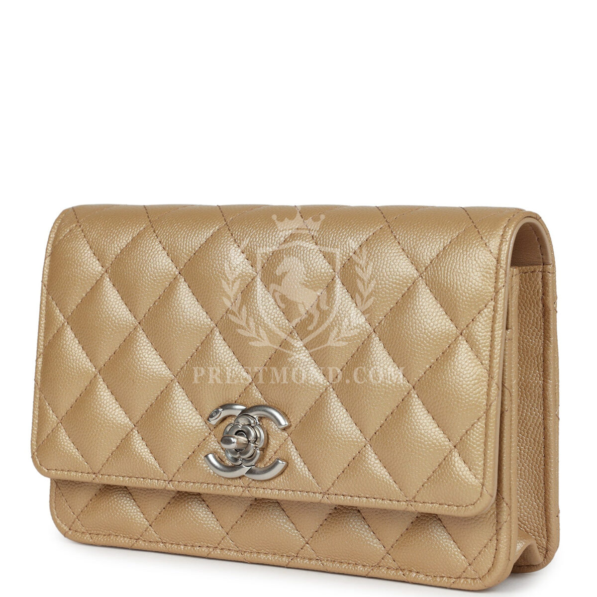 Chanel Wallet On Chain WOC Beige Iridescent Caviar Silver Hardware — изображение 5