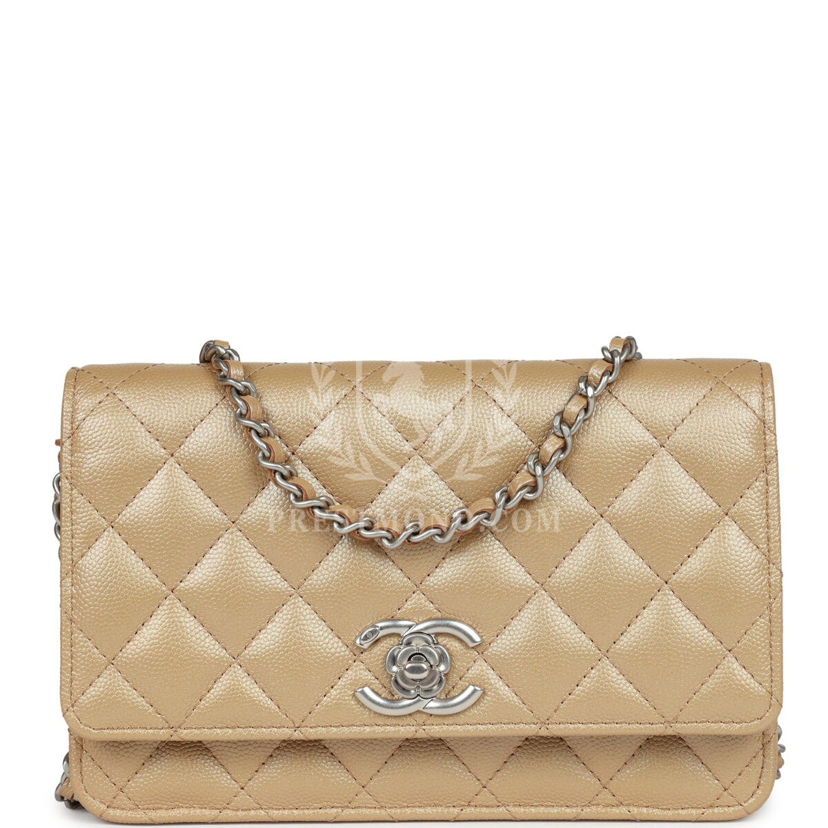 Chanel Wallet On Chain WOC Beige Iridescent Caviar Silver Hardware — изображение 7
