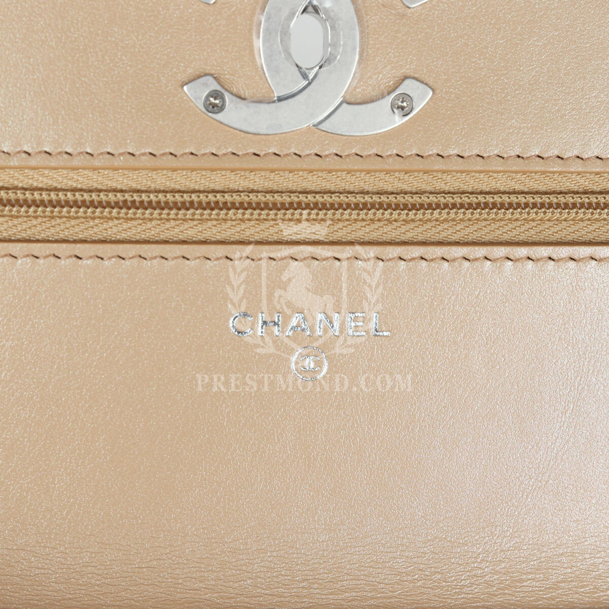 Chanel Wallet On Chain WOC Beige Iridescent Caviar Silver Hardware — изображение 12