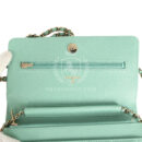 Chanel Wallet On Chain WOC Light Green Caviar Light Gold Hardware