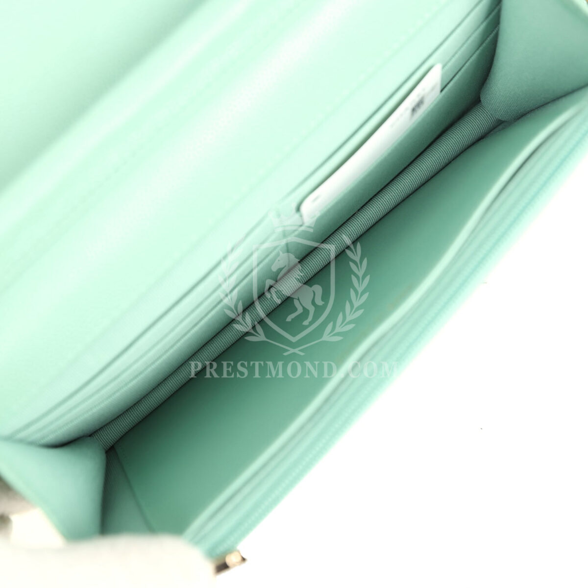 Chanel Wallet On Chain WOC Light Green Caviar Light Gold Hardware — изображение 11