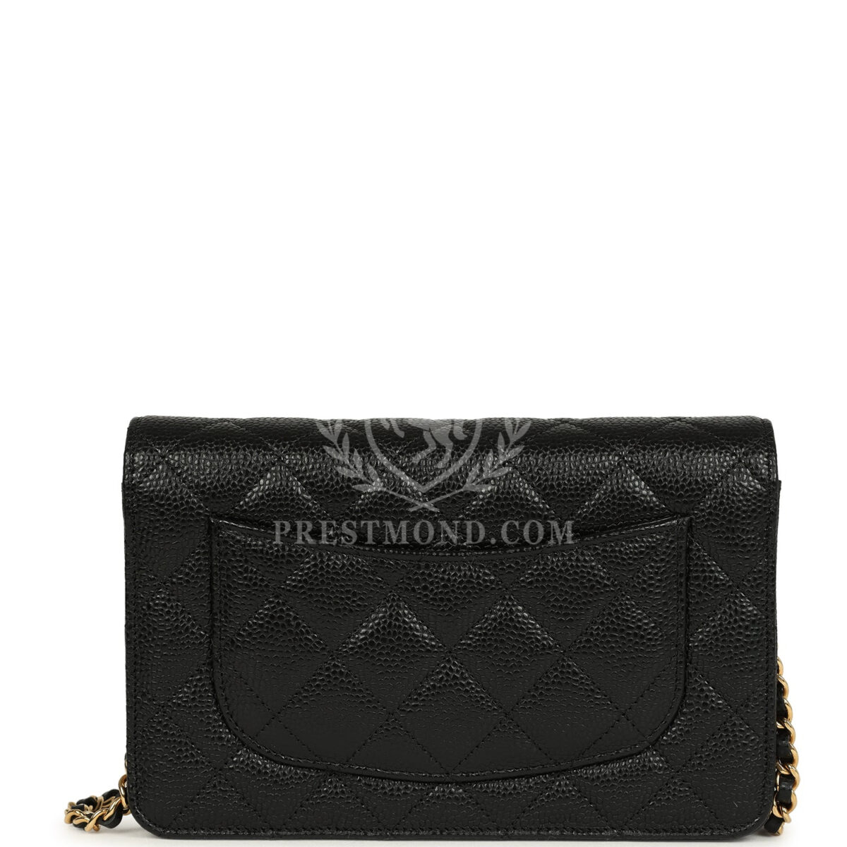 Chanel Wallet On Chain WOC Black Caviar Gold Hardware — изображение 4