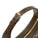 GUCCI Crescent Canvas With Leather Binding