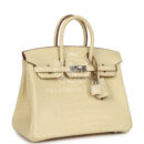 Hermes Birkin 25 Vanille Matte Alligator PHW