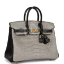 Hermes Special Order (HSS) Birkin 25 Gris Perle and Black Matte Alligator Mississippienis Brushed GHW