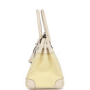 Hermes Birkin 30 Nata Swift and Jaune Poussin Toile H Canvas PHW