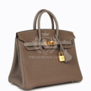 Hermes Special Order (HSS) Birkin 25 Etoupe and Etain Togo Brushed GHW