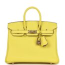 Hermes Special Order (HSS) Birkin 25 Lime Verso Clemence PBHW