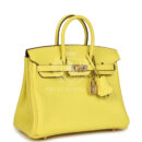 Hermes Special Order (HSS) Birkin 25 Lime Verso Clemence PBHW
