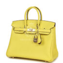 Hermes Special Order (HSS) Birkin 25 Lime Verso Clemence PBHW