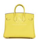 Hermes Special Order (HSS) Birkin 25 Lime Verso Clemence PBHW