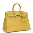 Hermes Birkin 35 Mimosa Matte Porosus Crocodile GHW