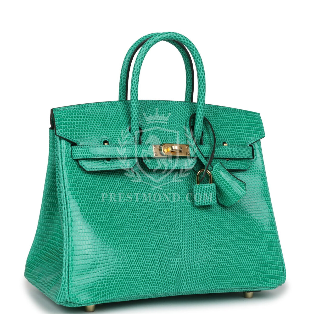 Hermes Birkin 25 Menthe Varanus Niloticus Lizard GHW — изображение 2