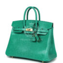 Hermes Birkin 25 Menthe Varanus Niloticus Lizard GHW