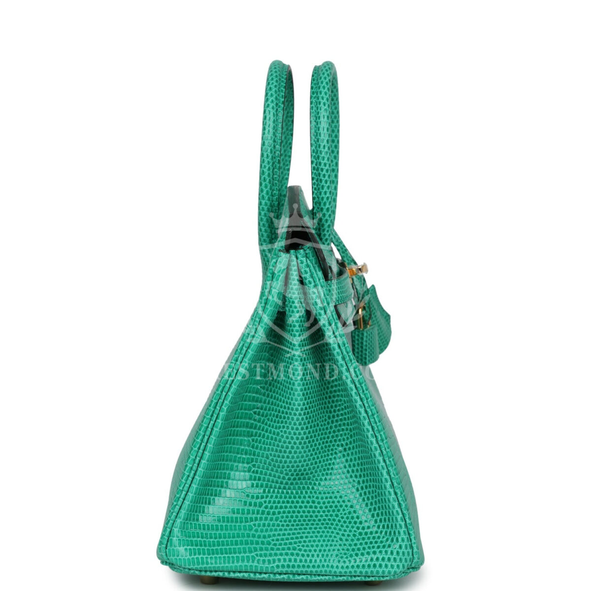Hermes Birkin 25 Menthe Varanus Niloticus Lizard GHW — изображение 3