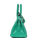 Hermes Birkin 25 Menthe Varanus Niloticus Lizard GHW