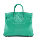 Hermes Birkin 25 Menthe Varanus Niloticus Lizard GHW
