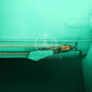 Hermes Birkin 25 Menthe Varanus Niloticus Lizard GHW