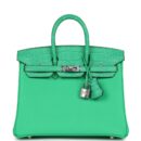Hermes Birkin 25 Vert Comics Togo and Matte Alligator Touch PHW