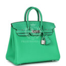 Hermes Birkin 25 Vert Comics Togo and Matte Alligator Touch PHW