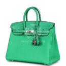 Hermes Birkin 25 Vert Comics Togo and Matte Alligator Touch PHW