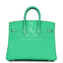 Hermes Birkin 25 Vert Comics Togo and Matte Alligator Touch PHW