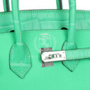 Hermes Birkin 25 Vert Comics Togo and Matte Alligator Touch PHW