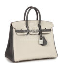 Hermes Special Order (HSS) Birkin 25 Beton and Etain Togo Brushed PHW