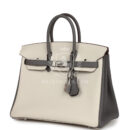 Hermes Special Order (HSS) Birkin 25 Beton and Etain Togo Brushed PHW