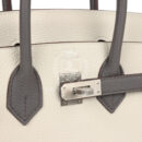 Hermes Special Order (HSS) Birkin 25 Beton and Etain Togo Brushed PHW