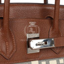 Hermes Birkin 30 Marron D'Inde Buffalo and Mosaique Canvas PHW