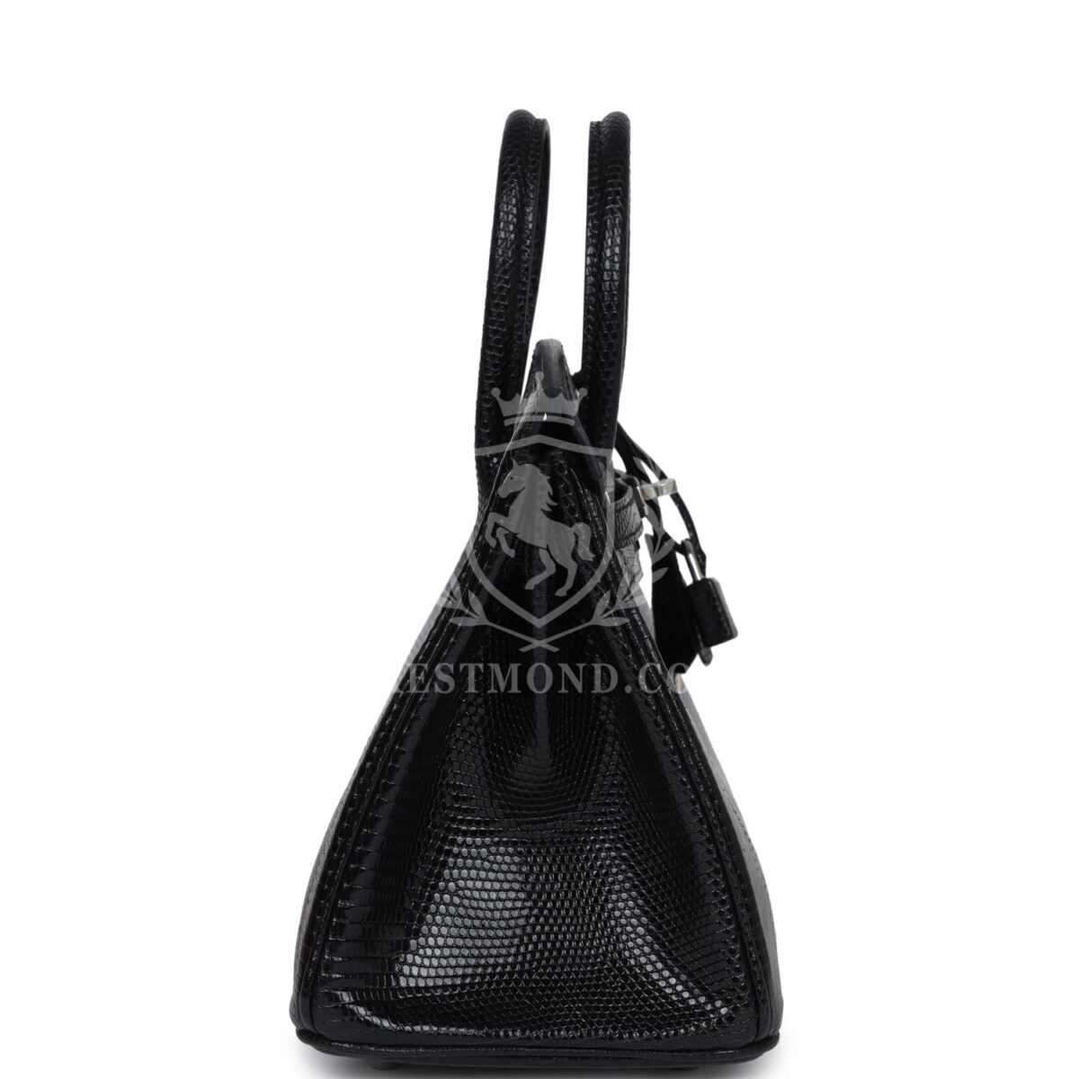 Hermes Birkin 25 Black Shiny Varanus Niloticus Lizard PHW — изображение 3